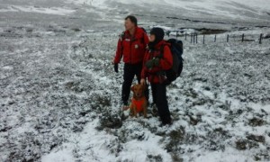 Team Searching
