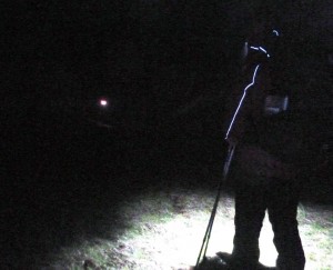 Team Searching